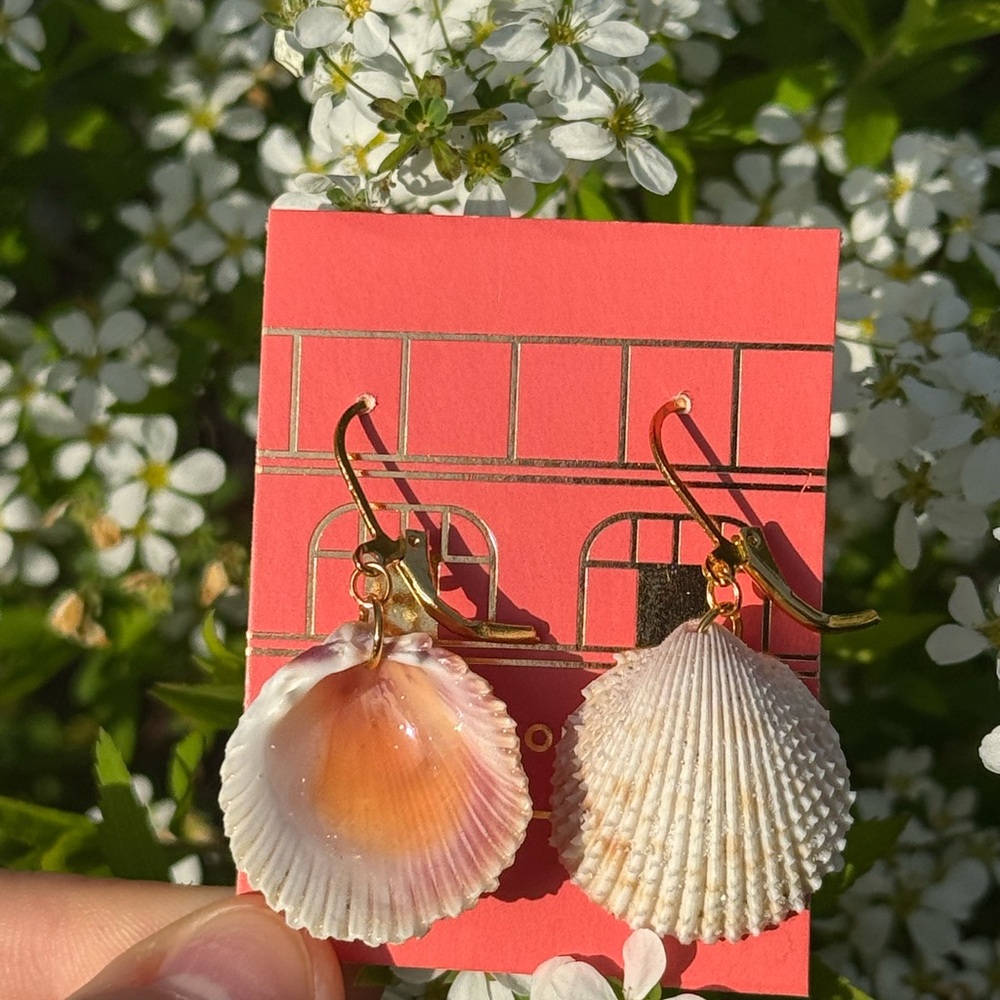 Gold and Cream Shell Earrings